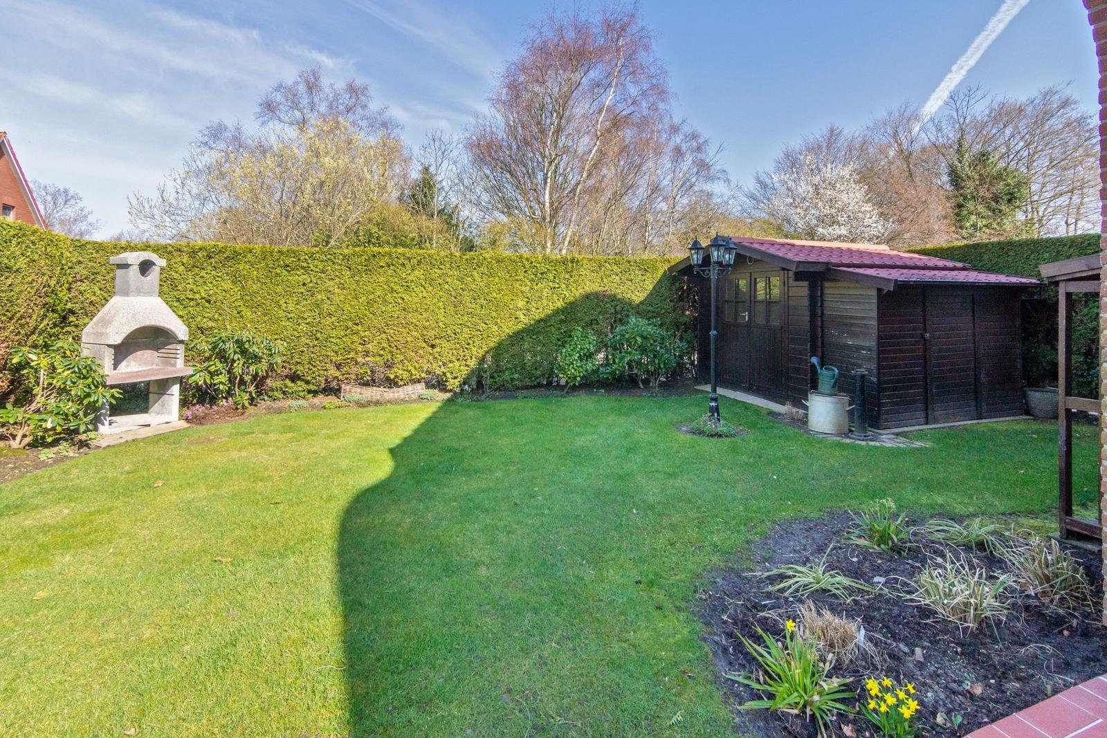 Garten mit Grill, Holzgarage und grünem Rasen. Hinterhof mit Hecke und Bäumen.