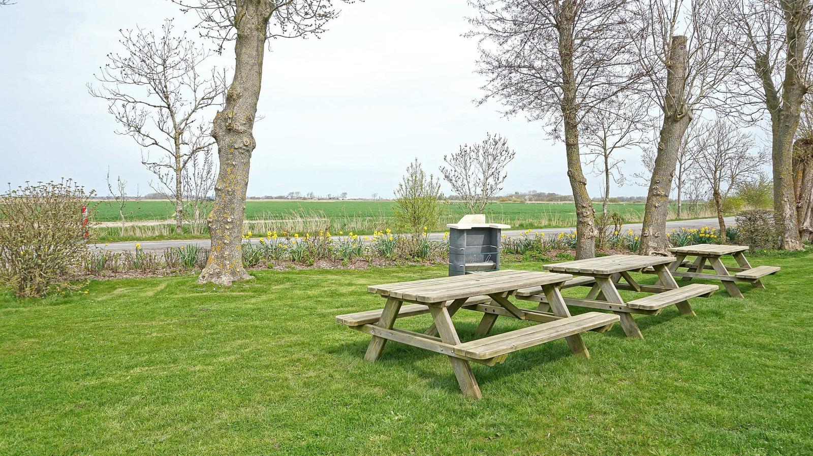 Green garden with wooden tables, grill, and trees. View of fields and road.