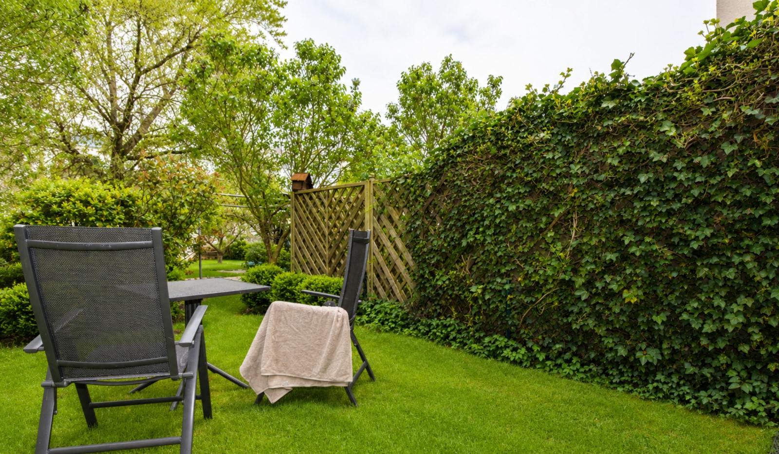 Garten mit zwei Stühlen, Tisch und Teppich auf grünem Rasen neben Efeuhecke.