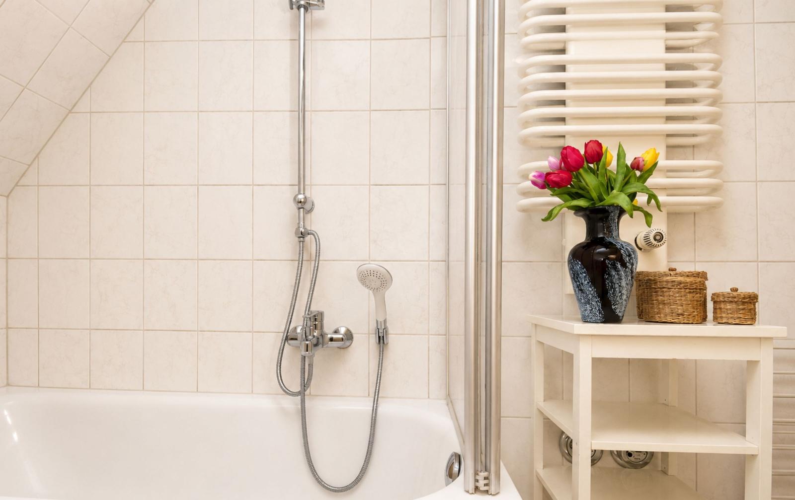 Bad mit Dusche, Heizkörper und Blumen auf einem Tisch