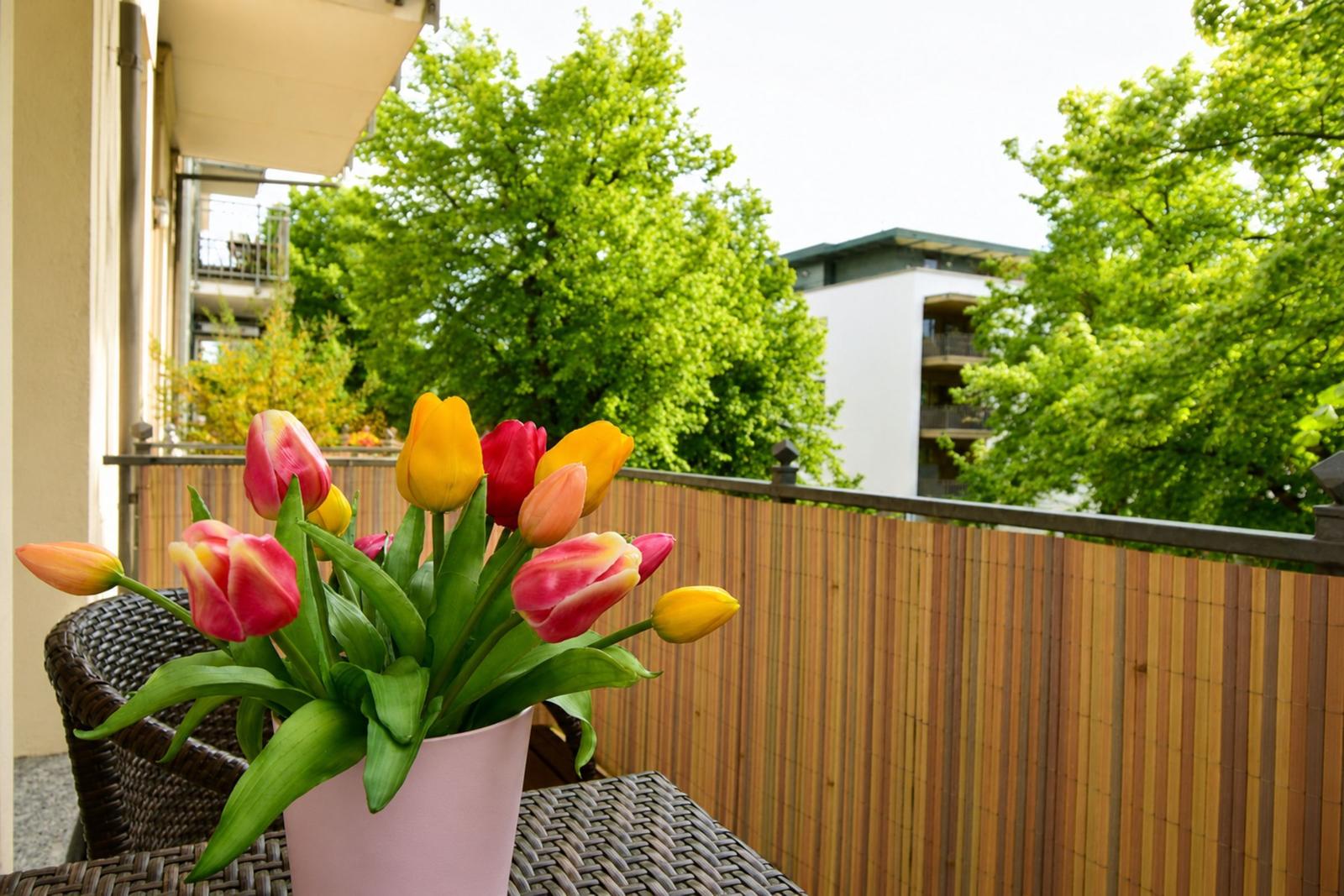 Tulpenblumen auf Balkon mit Sicht auf Bäume und Gebäude