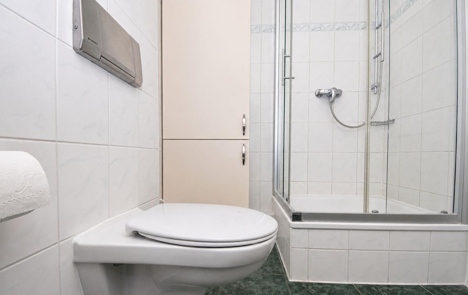 Bad mit Toilette, Dusche und Aufbewahrungskommode.