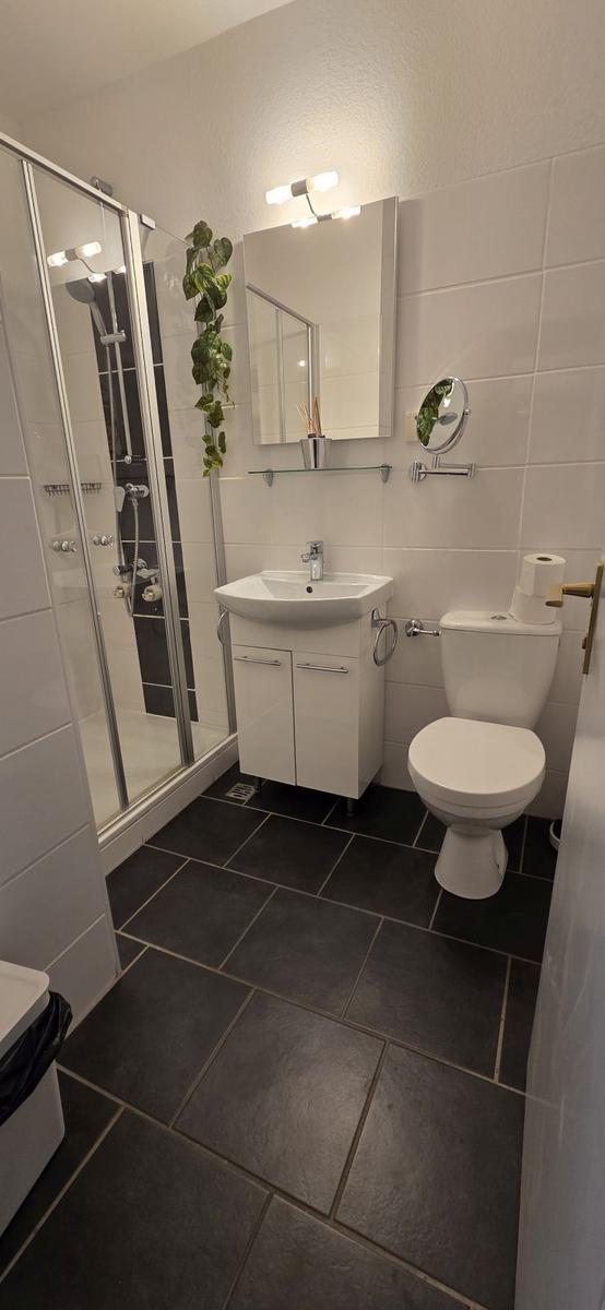 Badezimmer mit Dusche, Waschbecken und Toilette. Weiße Fliesen und dunkle Bodenfliesen.