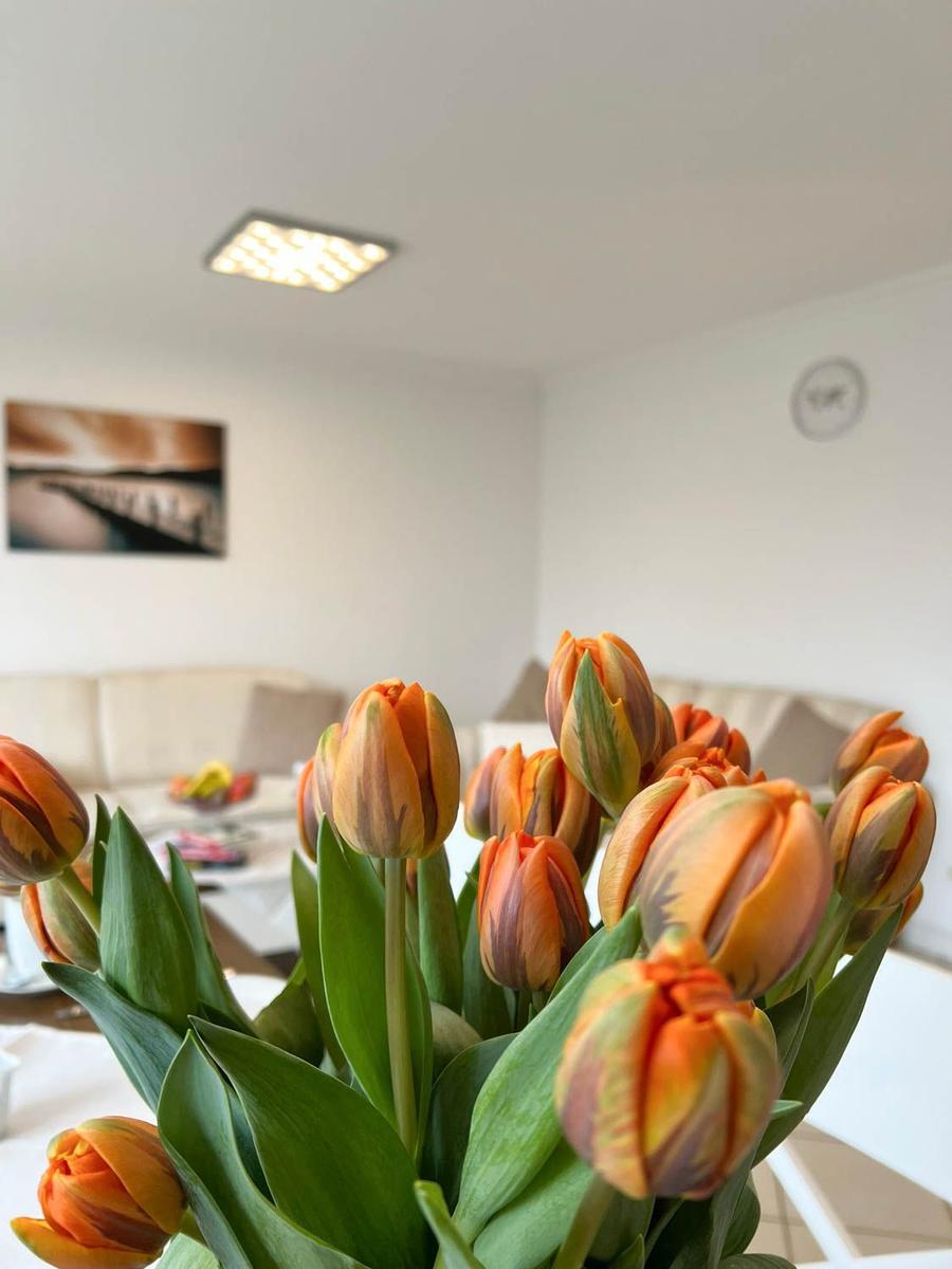 Buntes Tulpenarrangement auf Tisch vor Wohnzimmer mit Sofa und Wandbild.