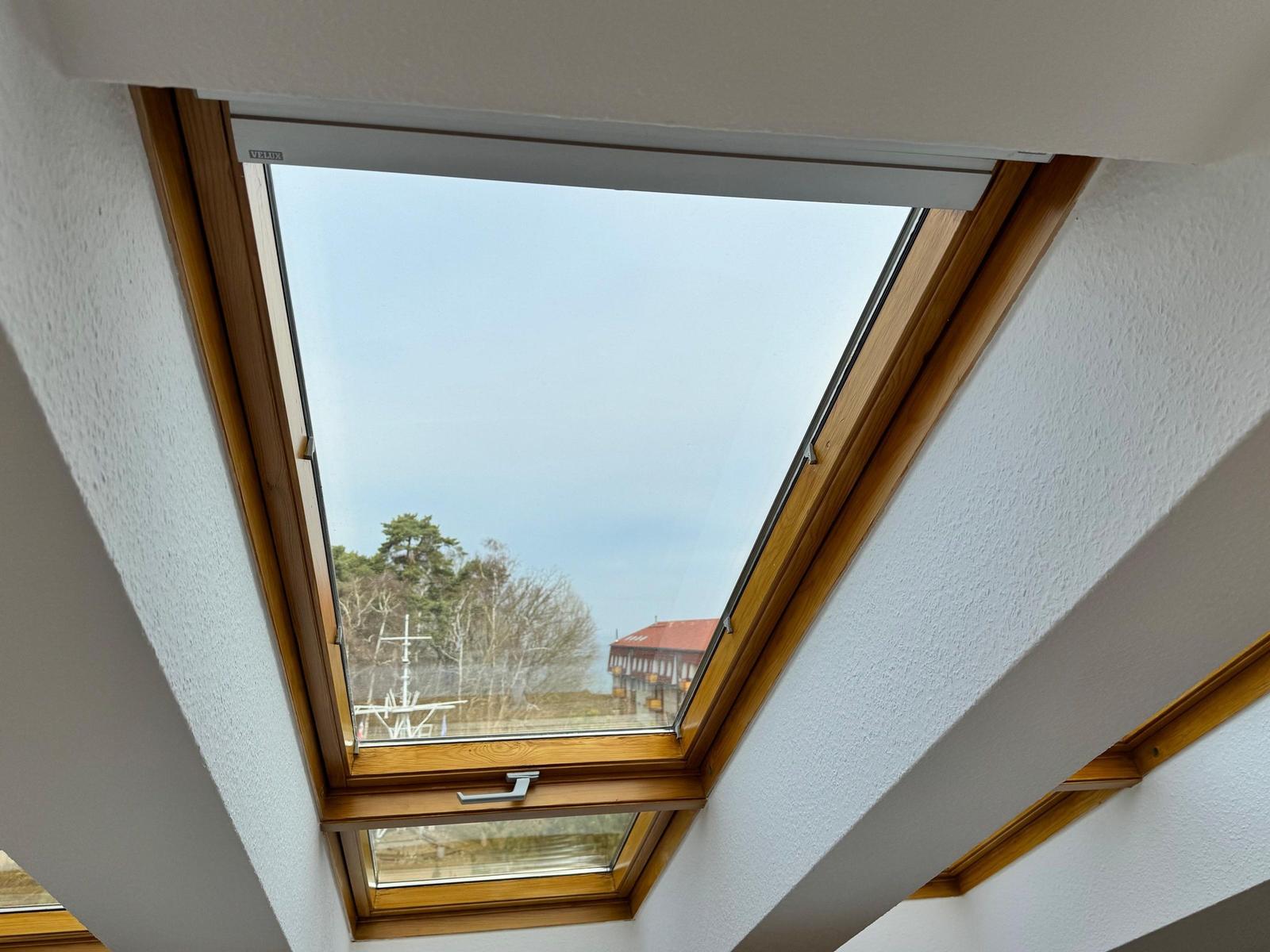 Dachfenster mit Blick auf Wald und rotes Gebäude.