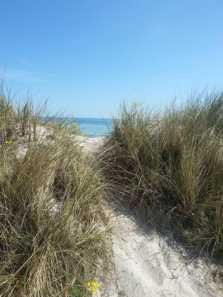 Weg durch Dünen zur Strandpromenade mit Blick auf das Meer.