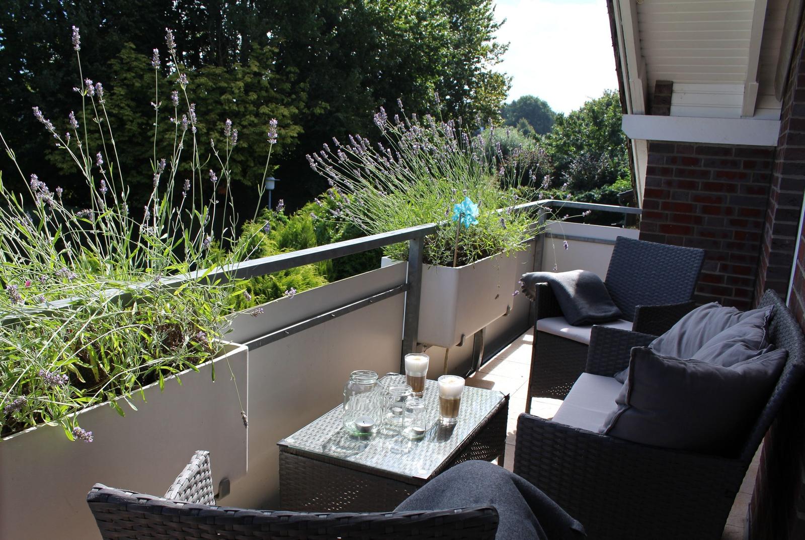Terrasse mit Lavendel, Sitzgruppe und Tisch. Hintergrund: grüne Bäume.