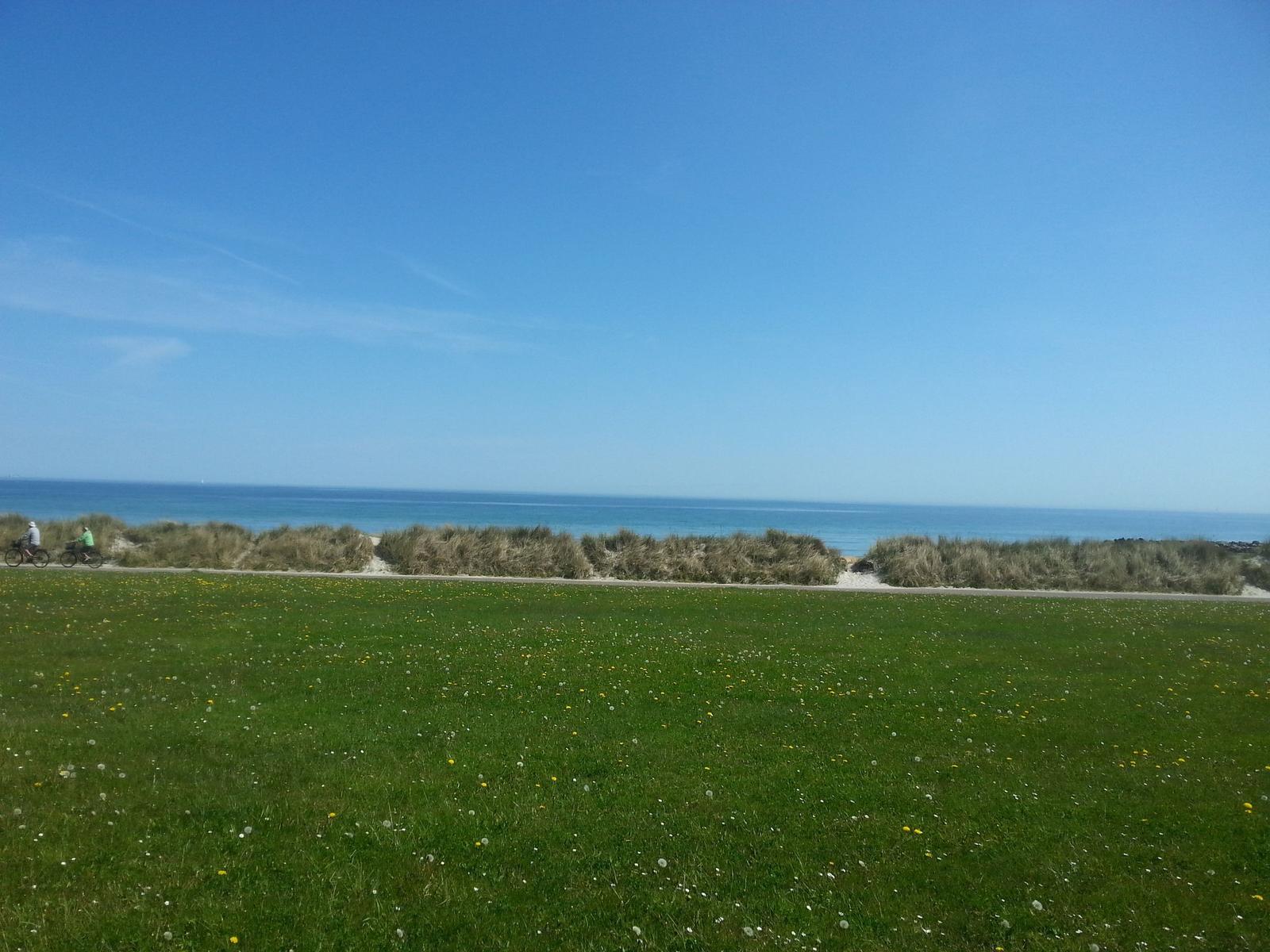 Grünes Feld mit Blumen, Strand und Meer im Hintergrund. Zwei Personen fahren mit Fahrrädern entlang.
