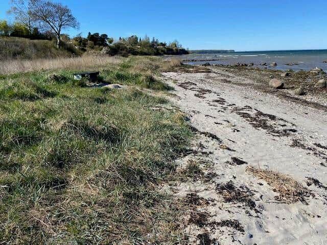 Beach with sand and grass, view of the sea and distant horizon.