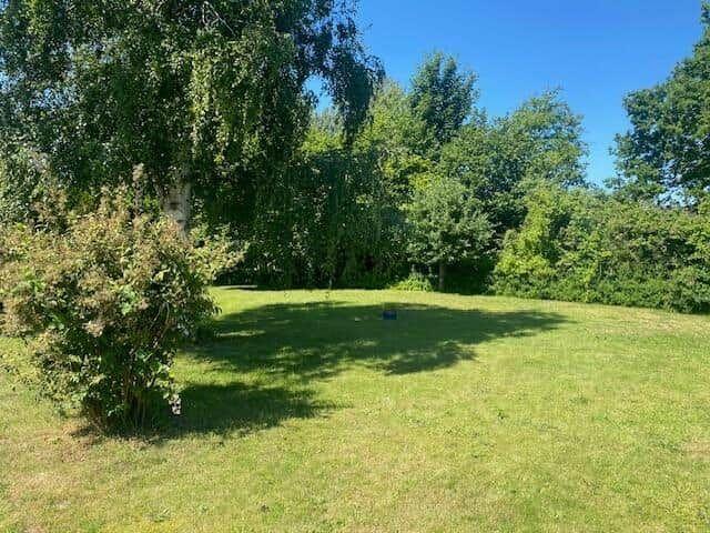 Green lawn area with trees and shrubs under blue sky.