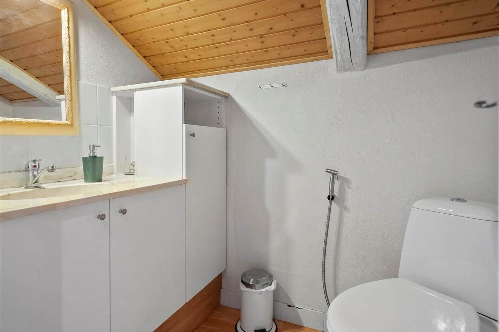 Badezimmer mit Toilette, Waschbecken und Spiegel unter Holzdecke