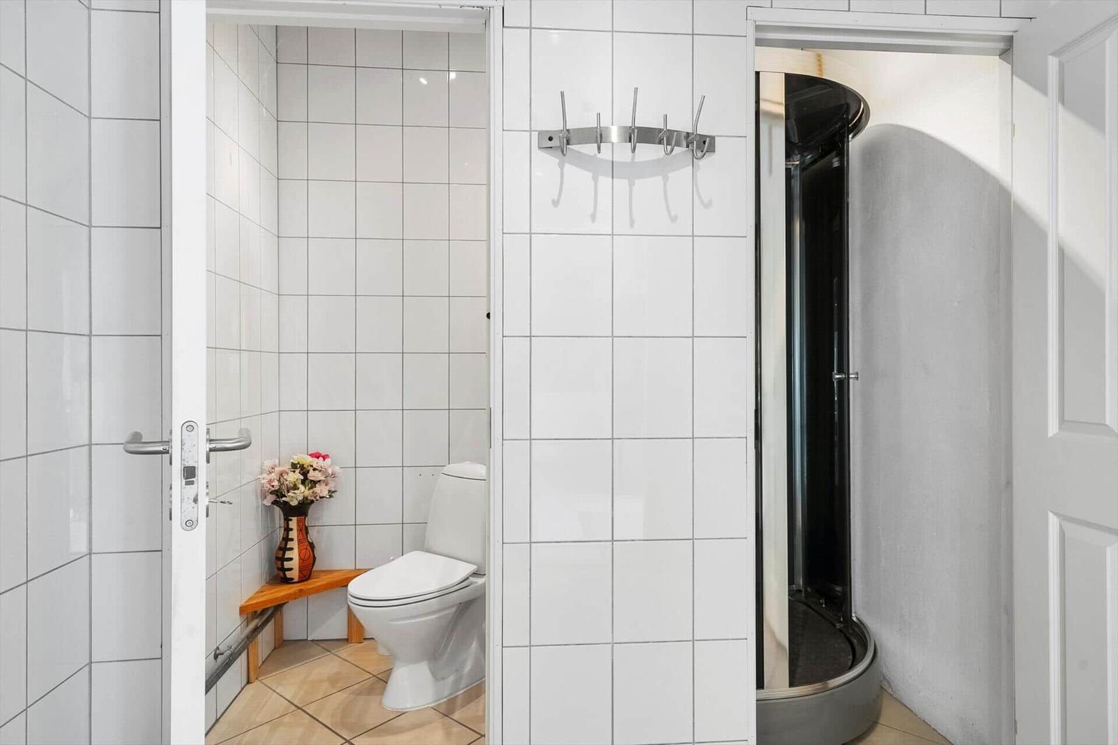 Bathroom with toilet, shower, and hooks on the wall.