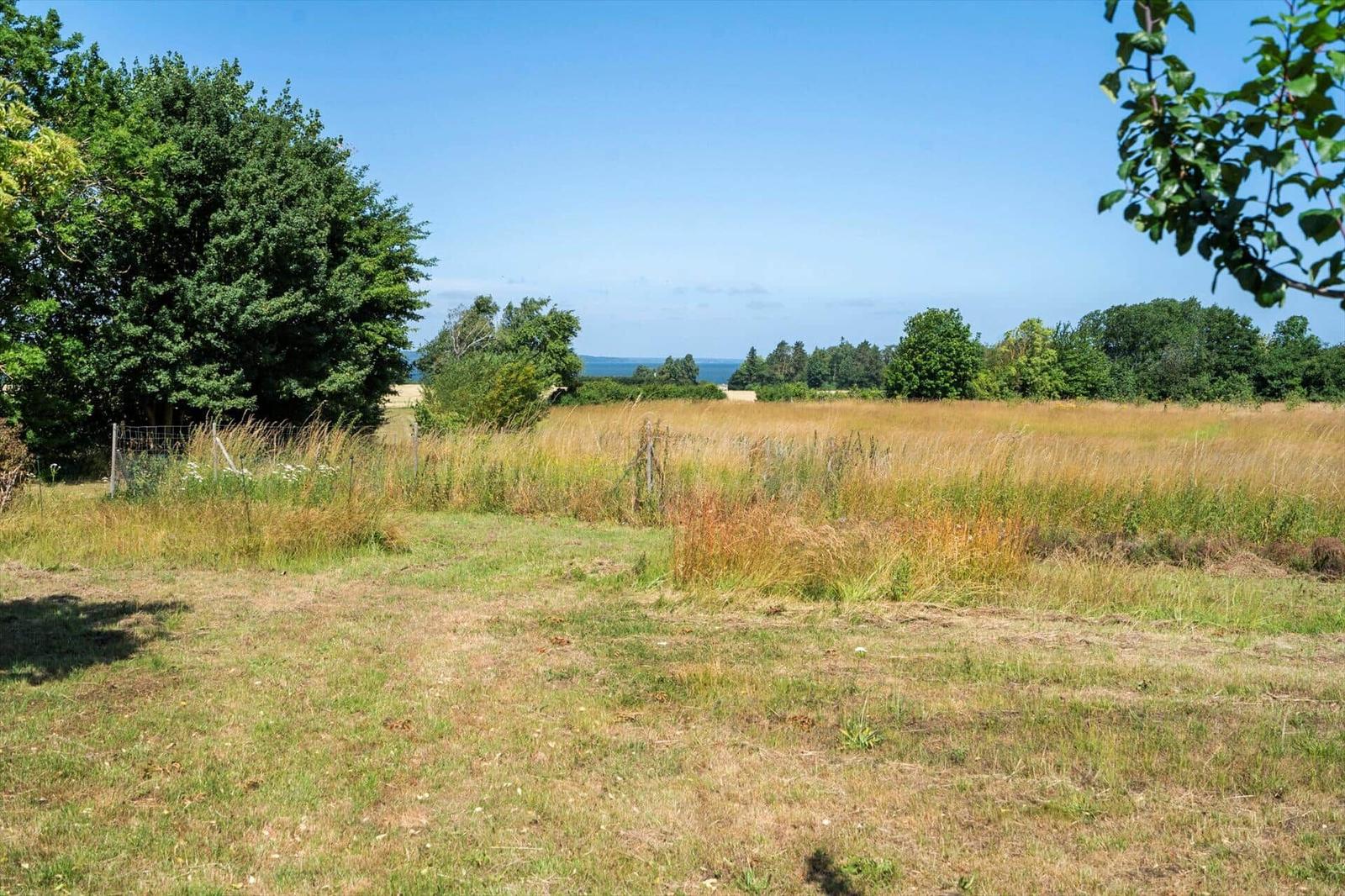 Green field with trees and view of the sea.