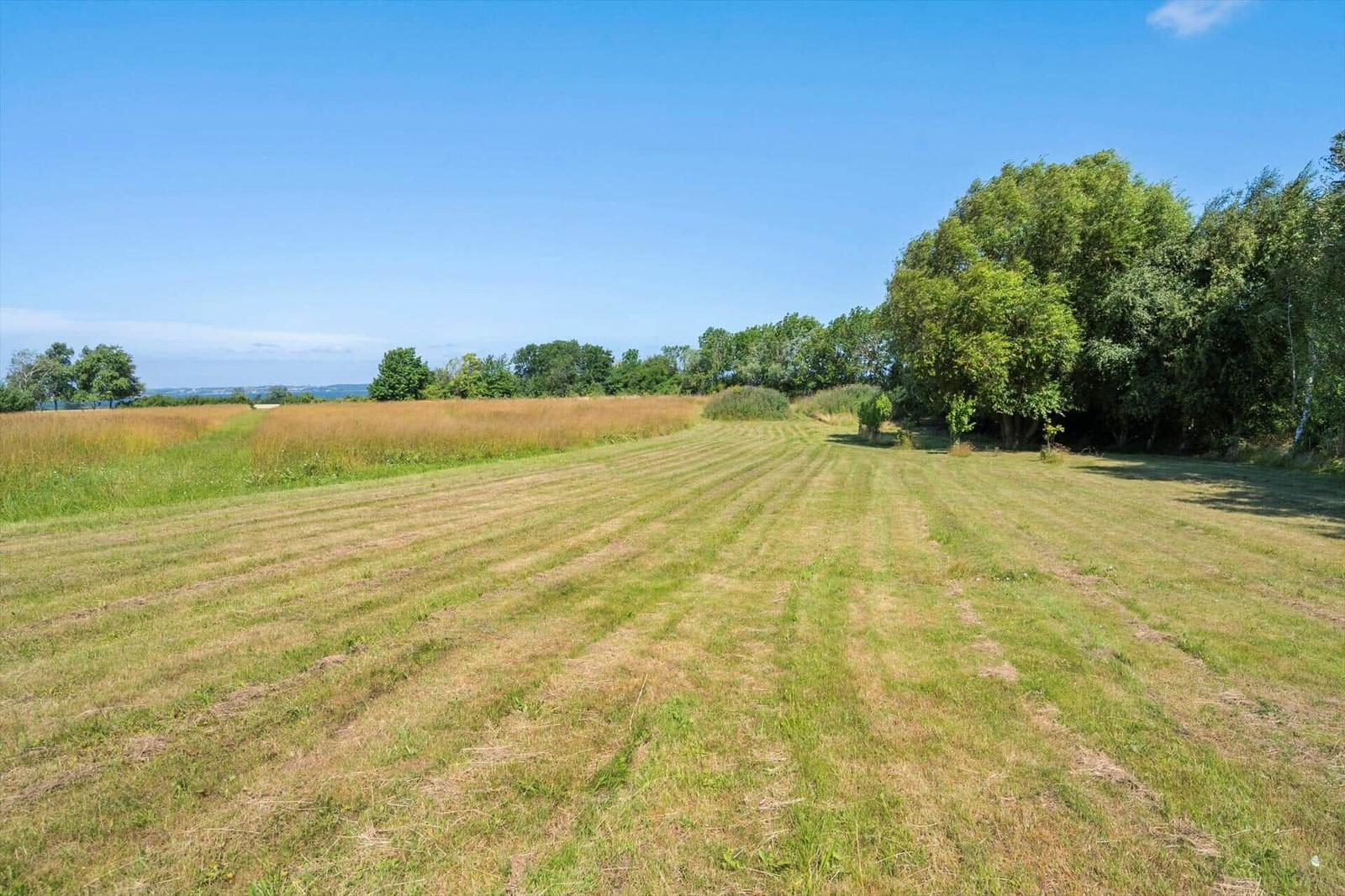 Green field with mowed stripes, trees, and clear sky