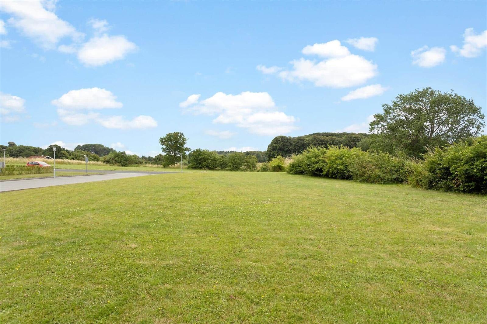 Grünes Feld mit Bäumen und Straße unter blauem Himmel mit weißen Wolken.