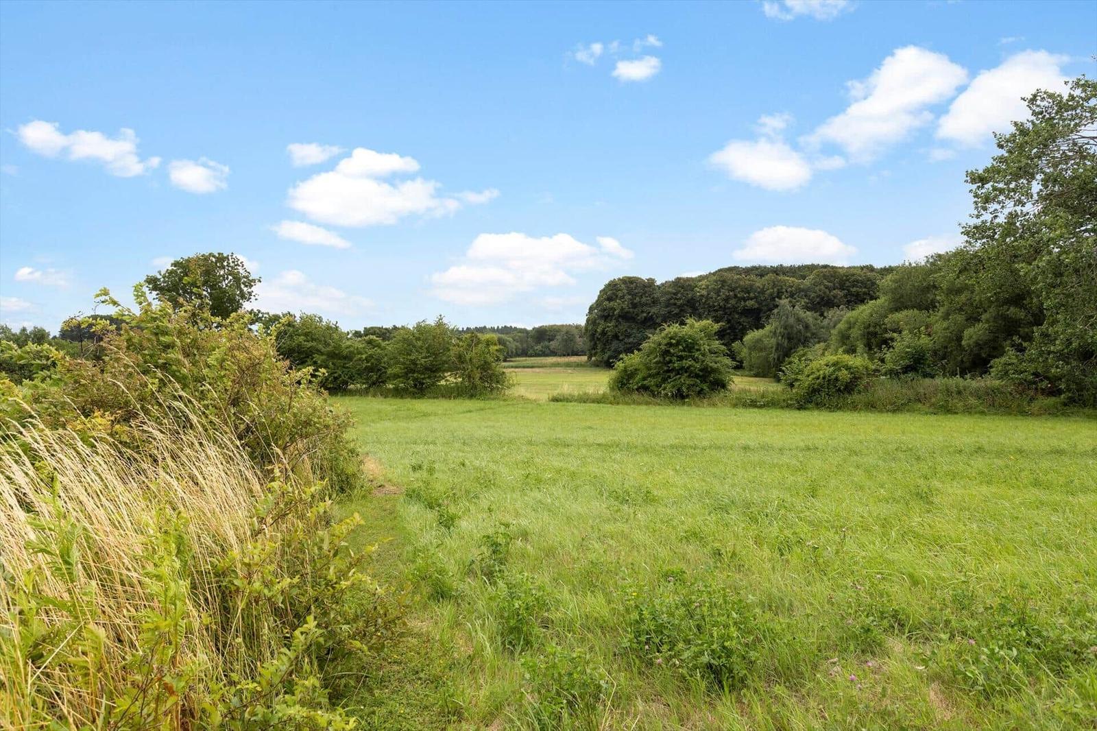 Grünes Feld mit Bäumen und blauem Himmel mit weißen Wolken.