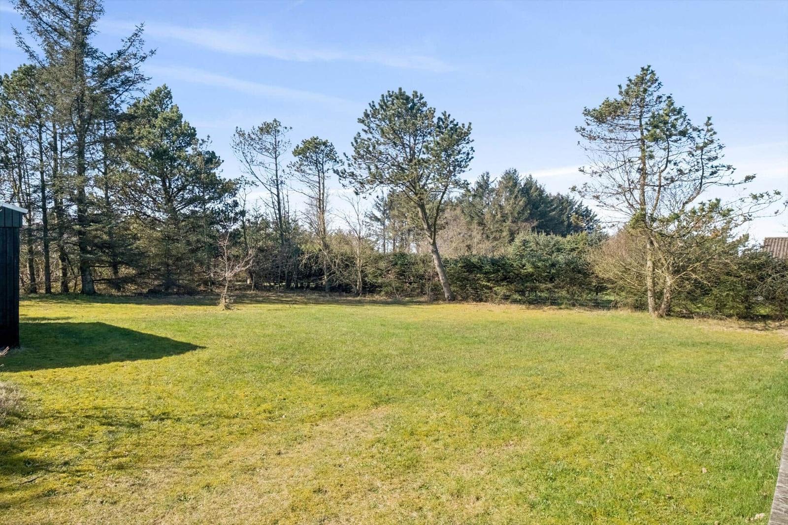 Large green garden with trees and shrubs. Ideal for relaxation and leisure activities.