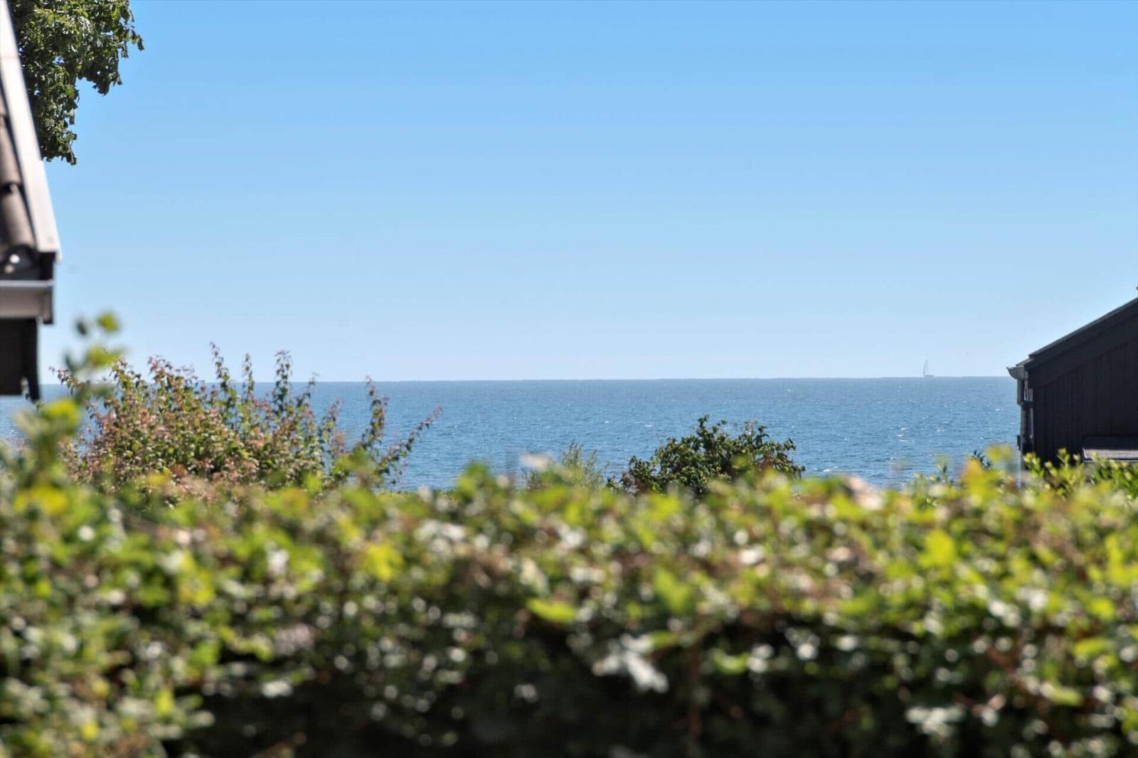 View of the sea with green vegetation in the foreground and houses on the sides.