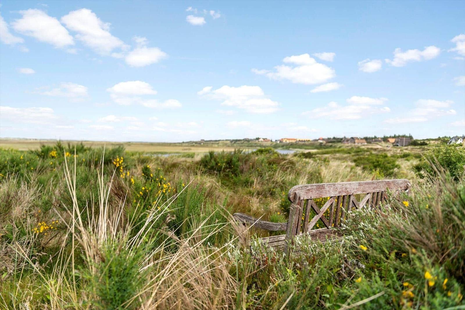 Holzbank im Gras mit Blick auf die Landschaft und Häuser im Hintergrund.