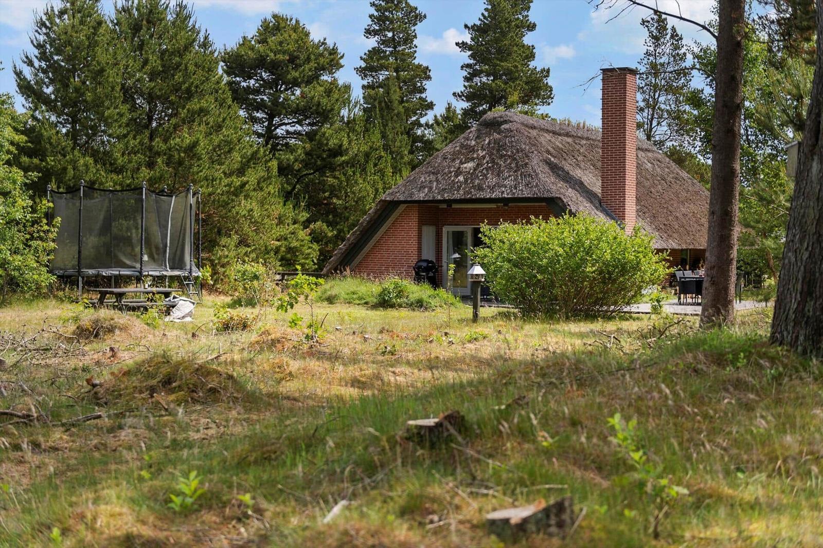Haus mit Strohdach und Backsteinmauern im Wald. Trampolin und Grill im Garten.