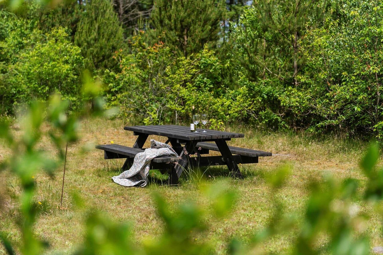 Holzpicknicktisch mit Flasche und Gläsern im Gras zwischen Bäumen.