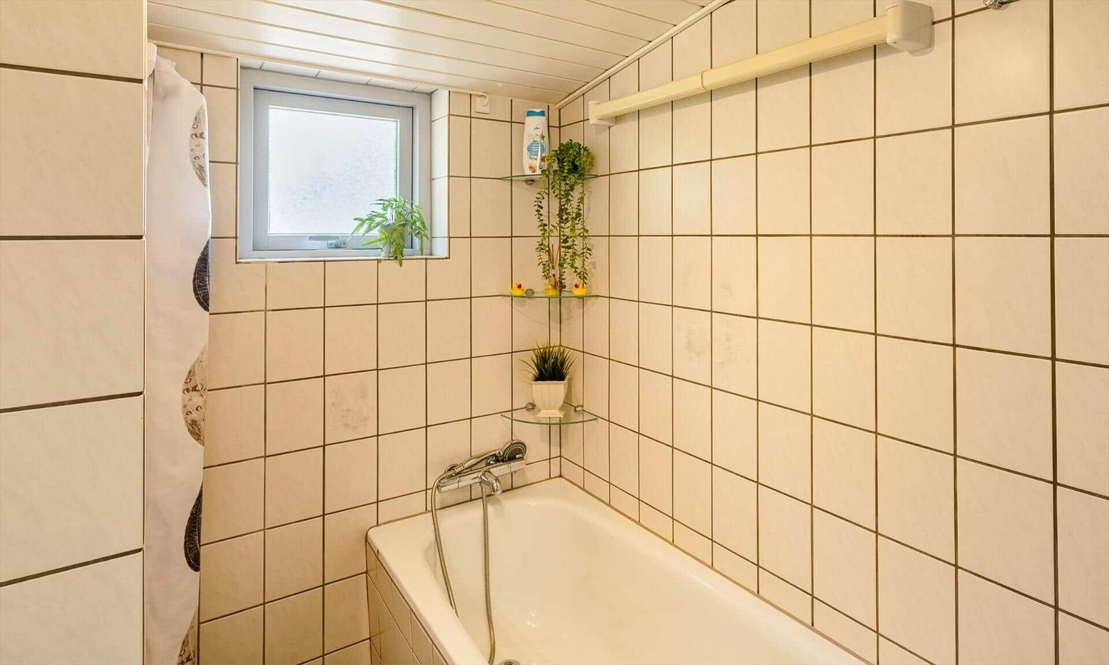 Bath with bathtub, window, and plants on glass shelves.