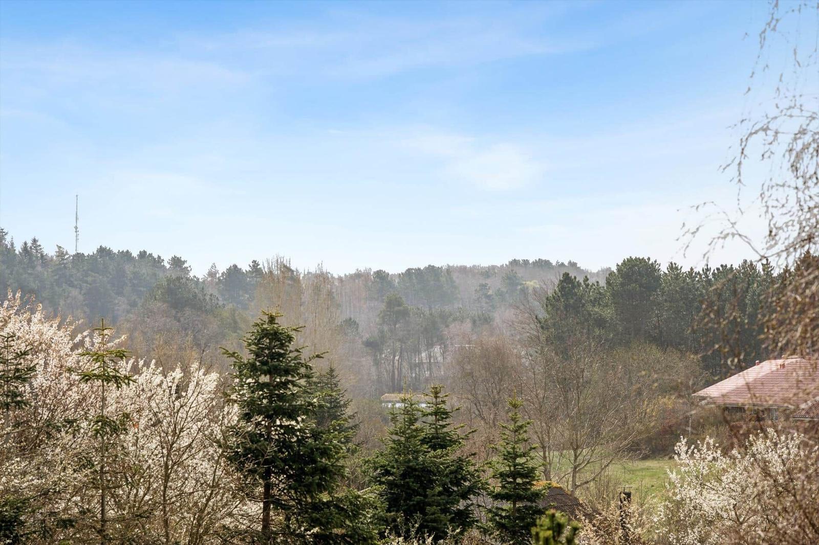 Weitläufiger Blick auf Wald mit blauem Himmel und blühenden Bäumen im Vordergrund.