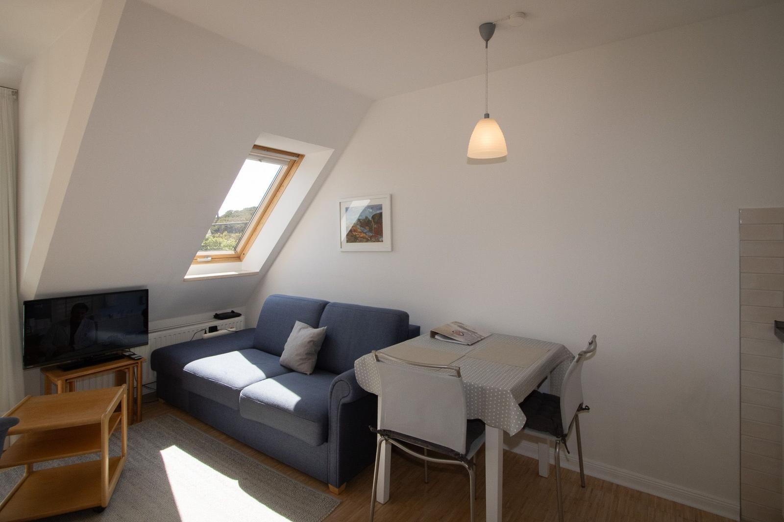 Living room with sofa, dining table, and skylight. TV and lighting are present.