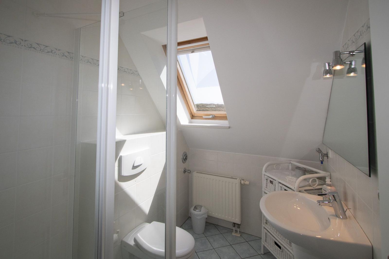 Bathroom with shower, toilet, sink, and skylight.