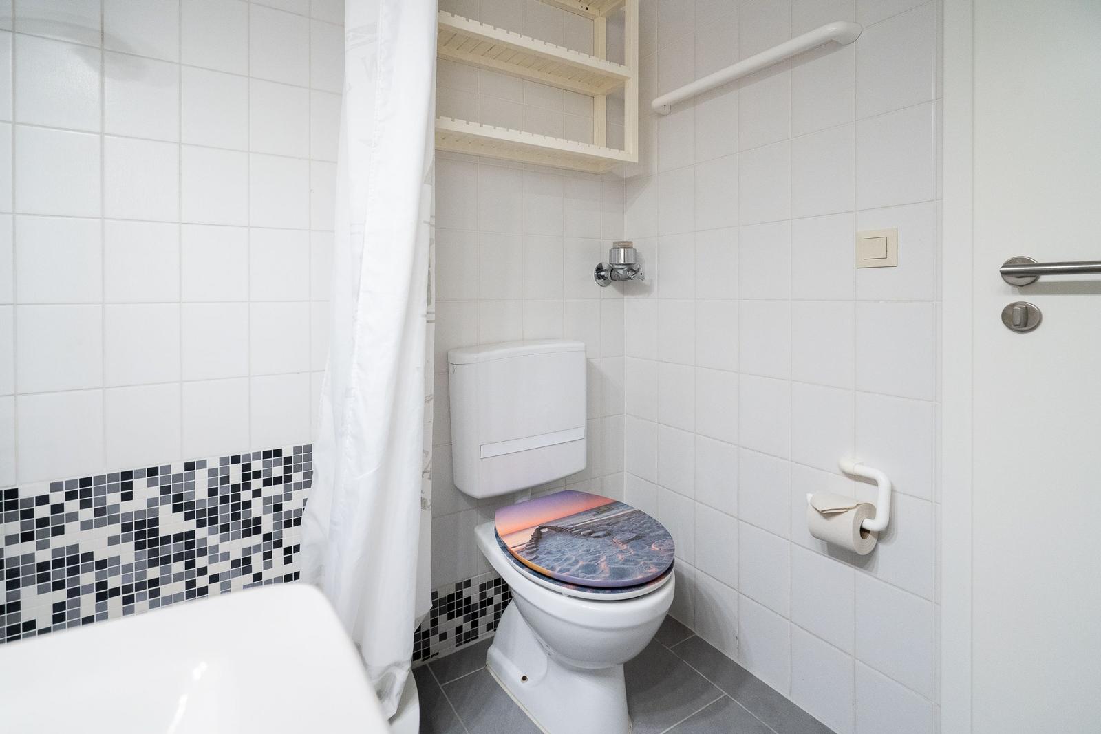 Bathroom with toilet, shower, and grab bar. Toilet seat with motif. Mosaic tiles on wall.