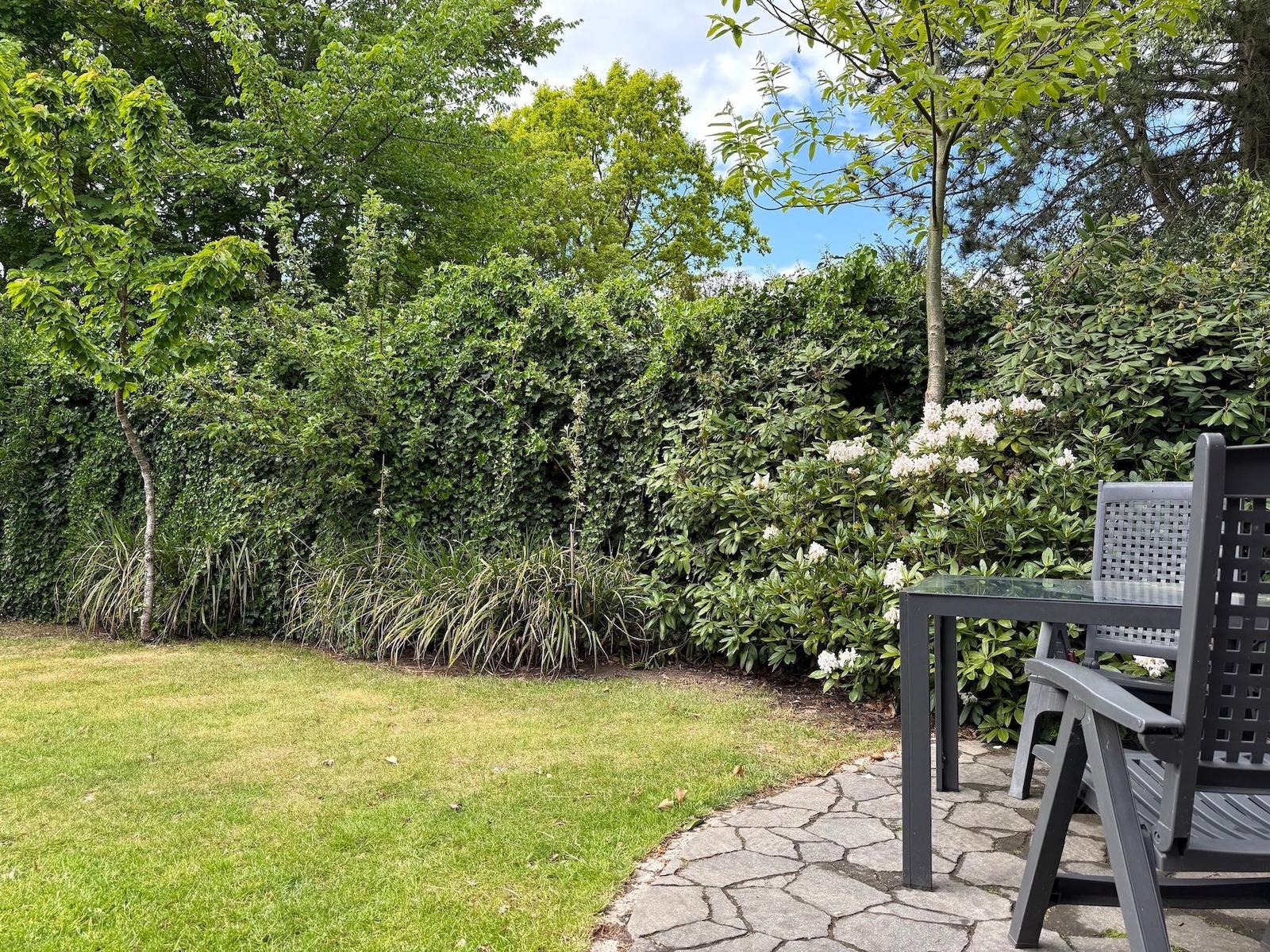 Garten mit Rasen, Steinterrasse und Gartenmöbeln. Hintergrund: grüne Hecke und Bäume.