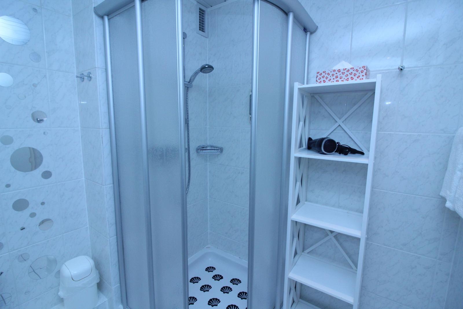 Shower enclosure with glass door, showerhead, and shelf with hair dryer.