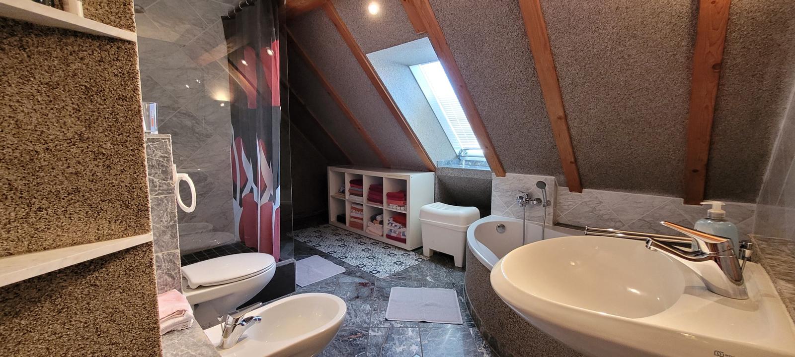 Badezimmer mit Dusche, Badewanne und Toilette unter Holzdecke.