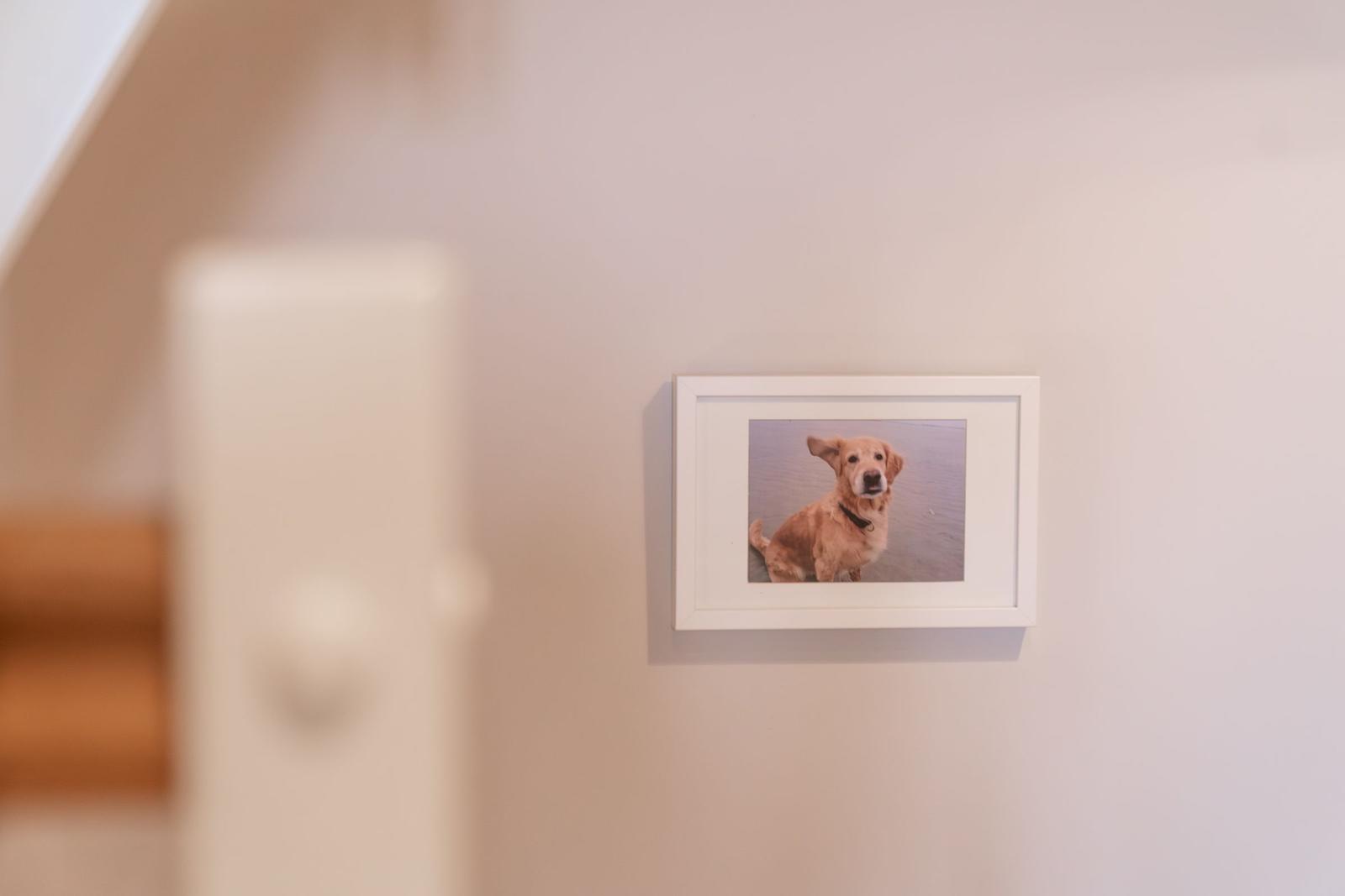 Ein gerahmtes Foto eines Hundes hängt an der Wand.