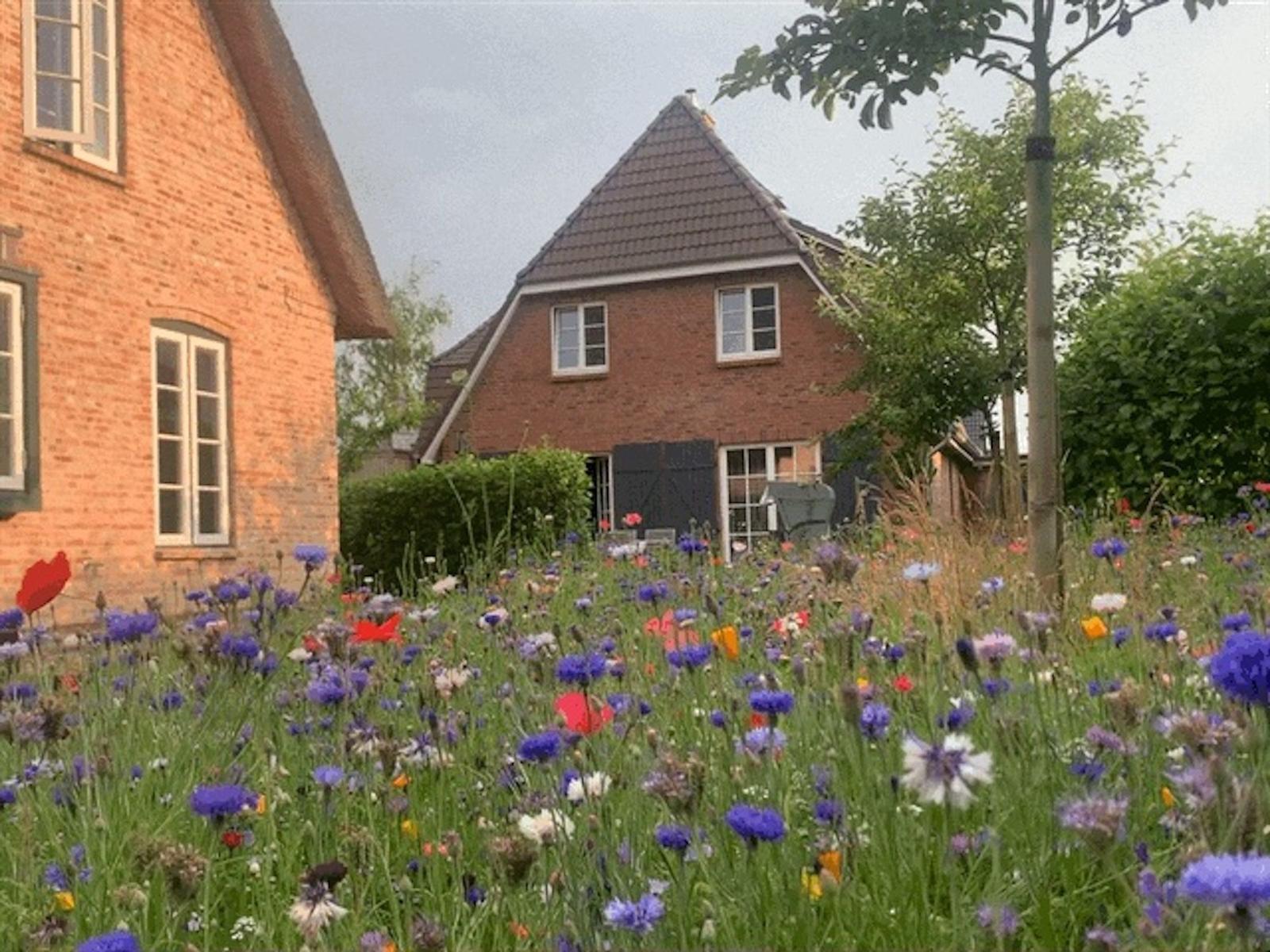 Zwei Häuser mit Blumenfeld im Vordergrund.