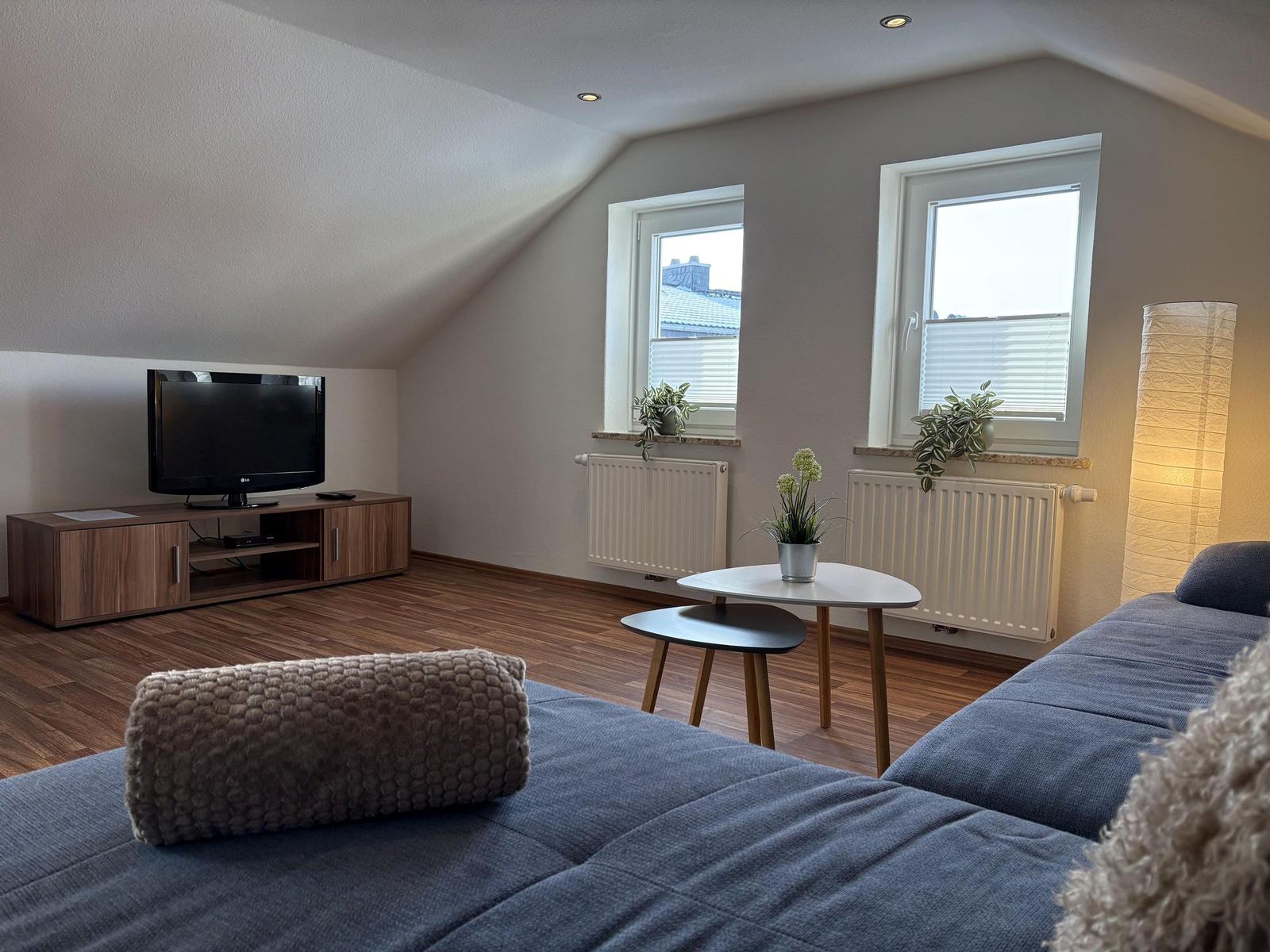 Wohnzimmer mit Sofa, Fernseher und zwei Fenstern.