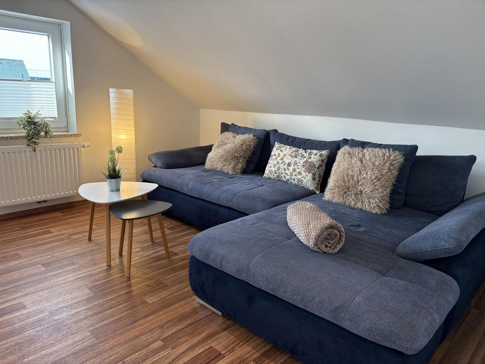 Ein Wohnzimmer mit blauem Sofa, Holzboden und Fenster mit Jalousie.