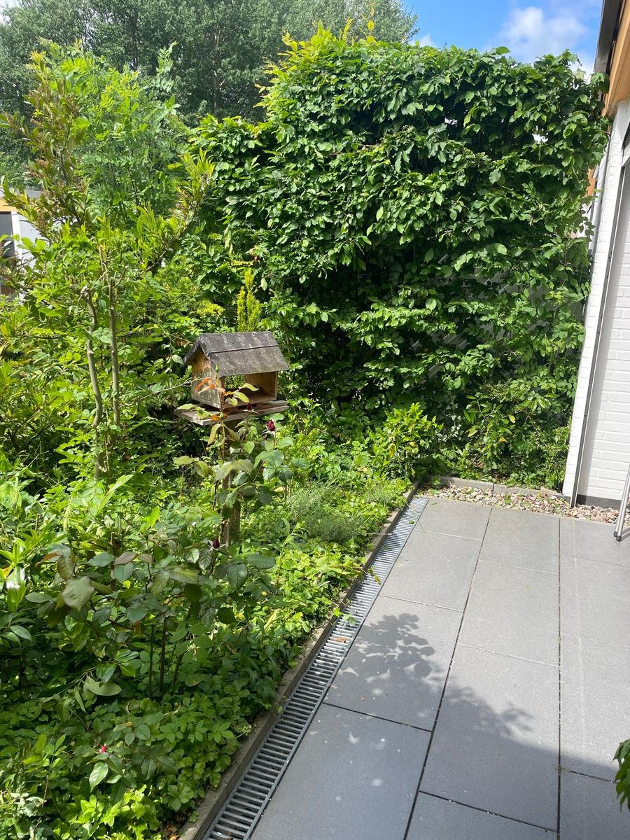 Garden with birdhouse, plants, and stone-paved path beside house wall.