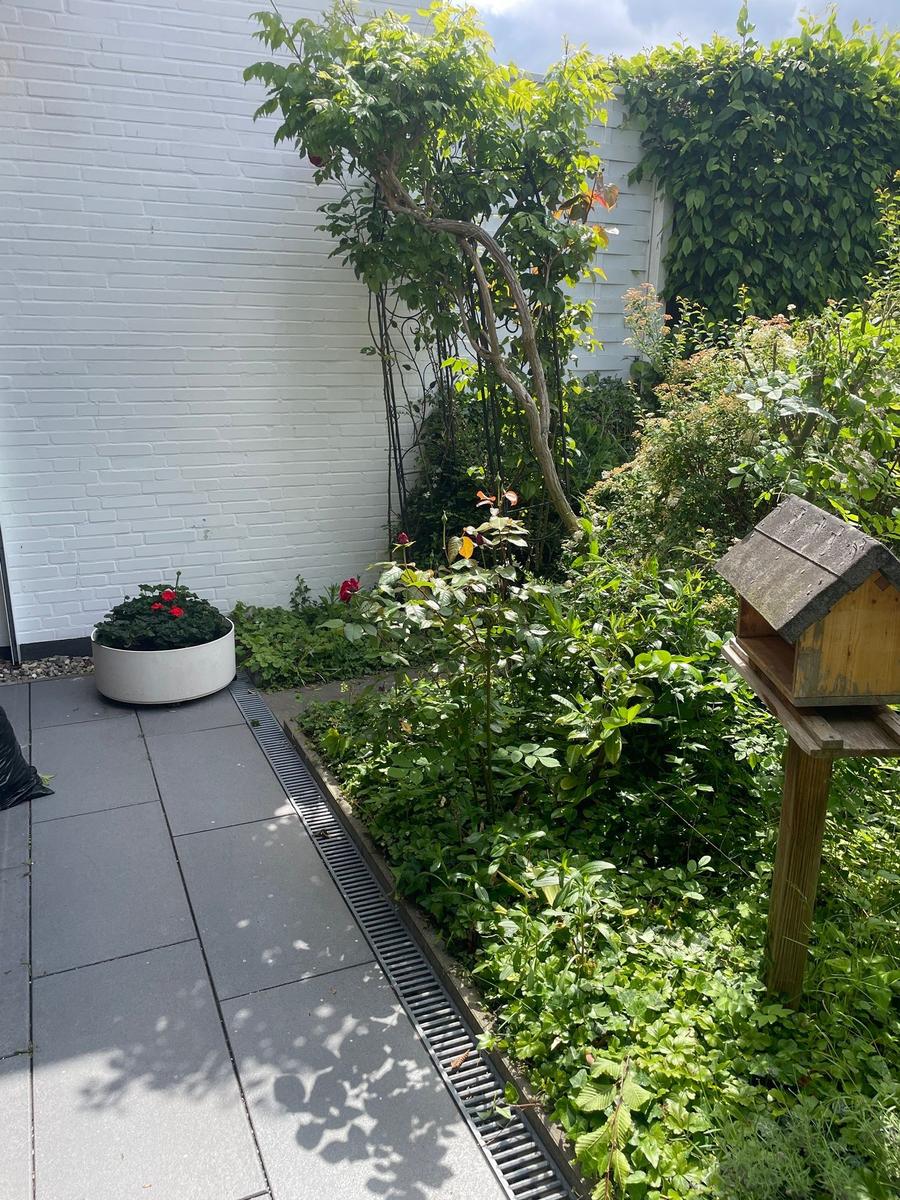 Garden with plants, flowerbed, and birdhouse against white wall.