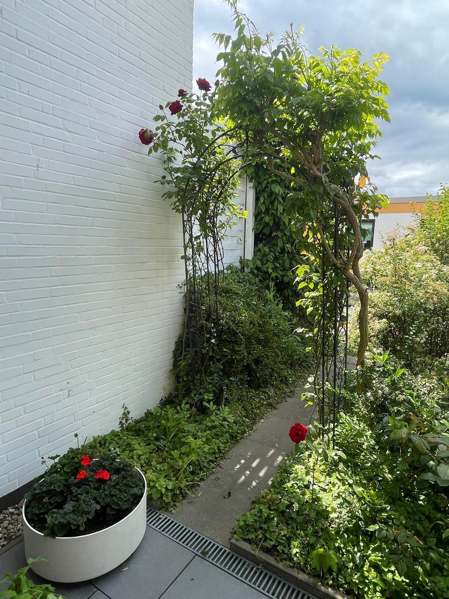 Backyard with flowerbed, rose arch, and white brick walls.