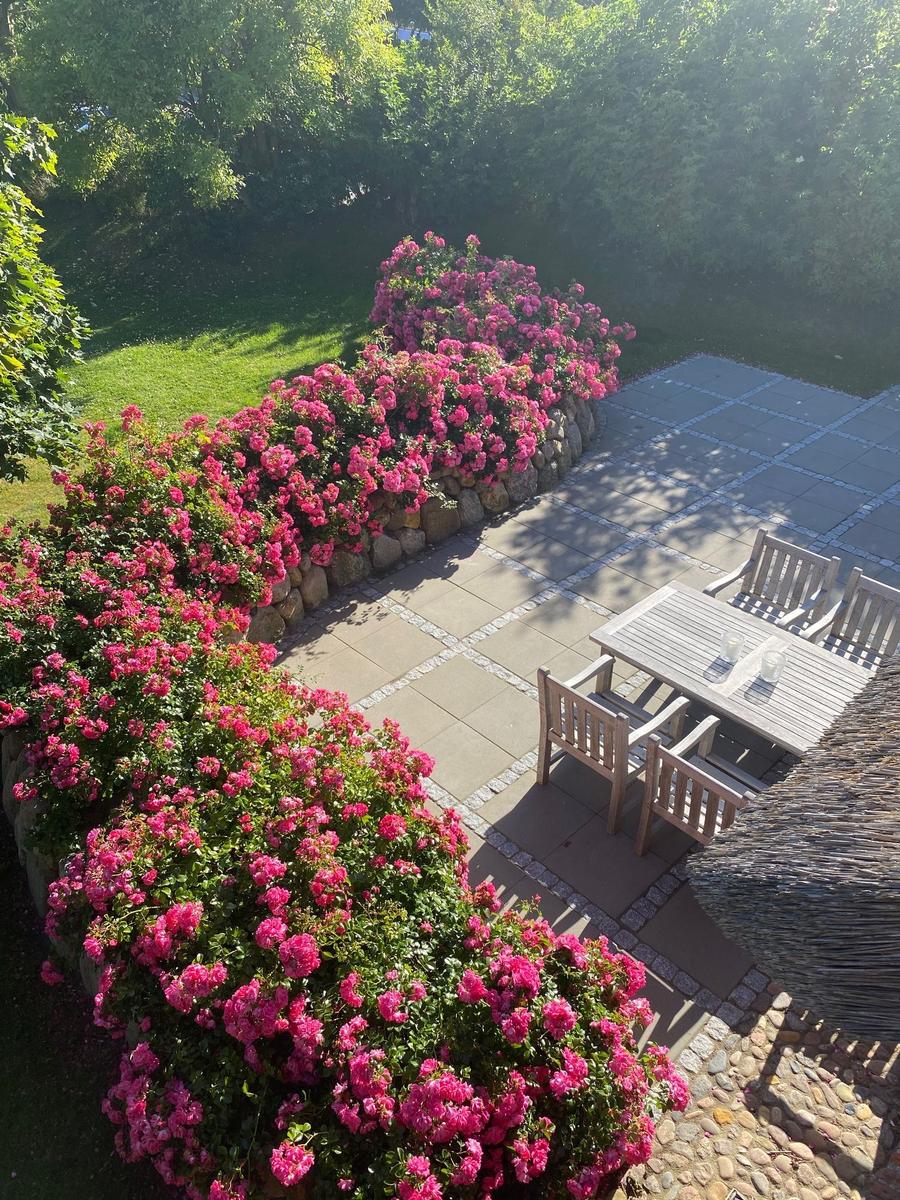 Terrasse mit Holztisch, Stühlen und blühenden Rosenhecken. Hintergrund: grüner Rasen und Bäume.