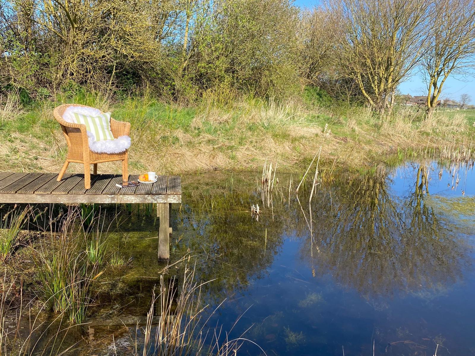 Lieblingsplatz am Gartenteich