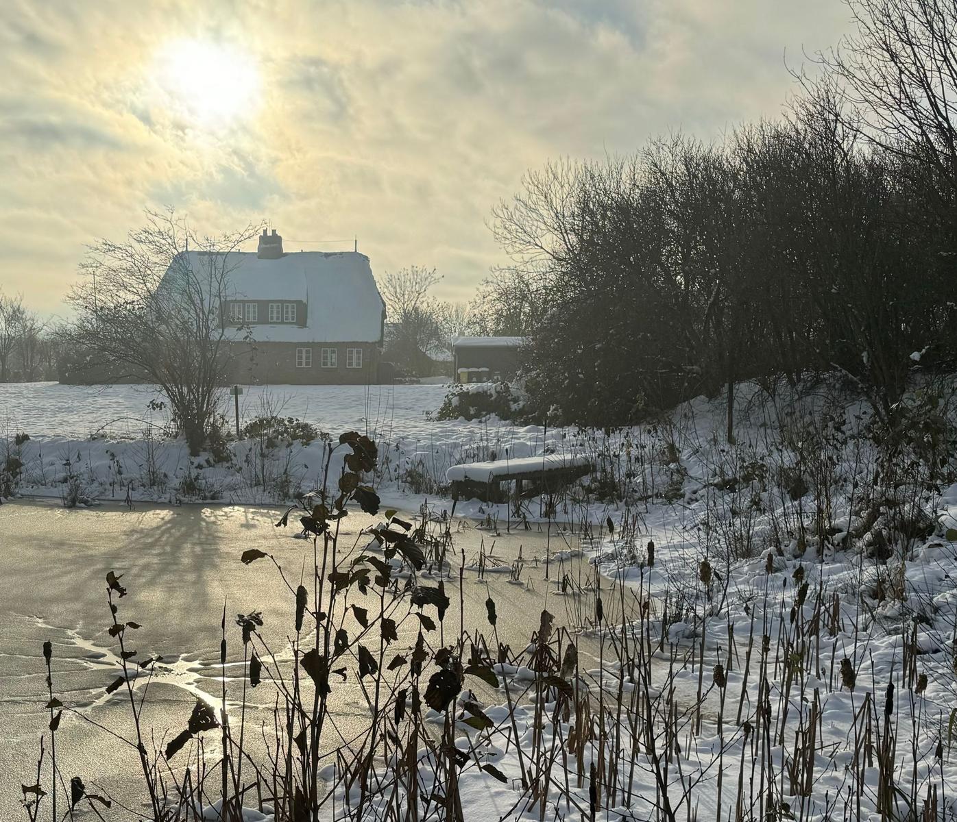 Schneebedecktes Haus mit Eisfläche und Bäumen im Winter