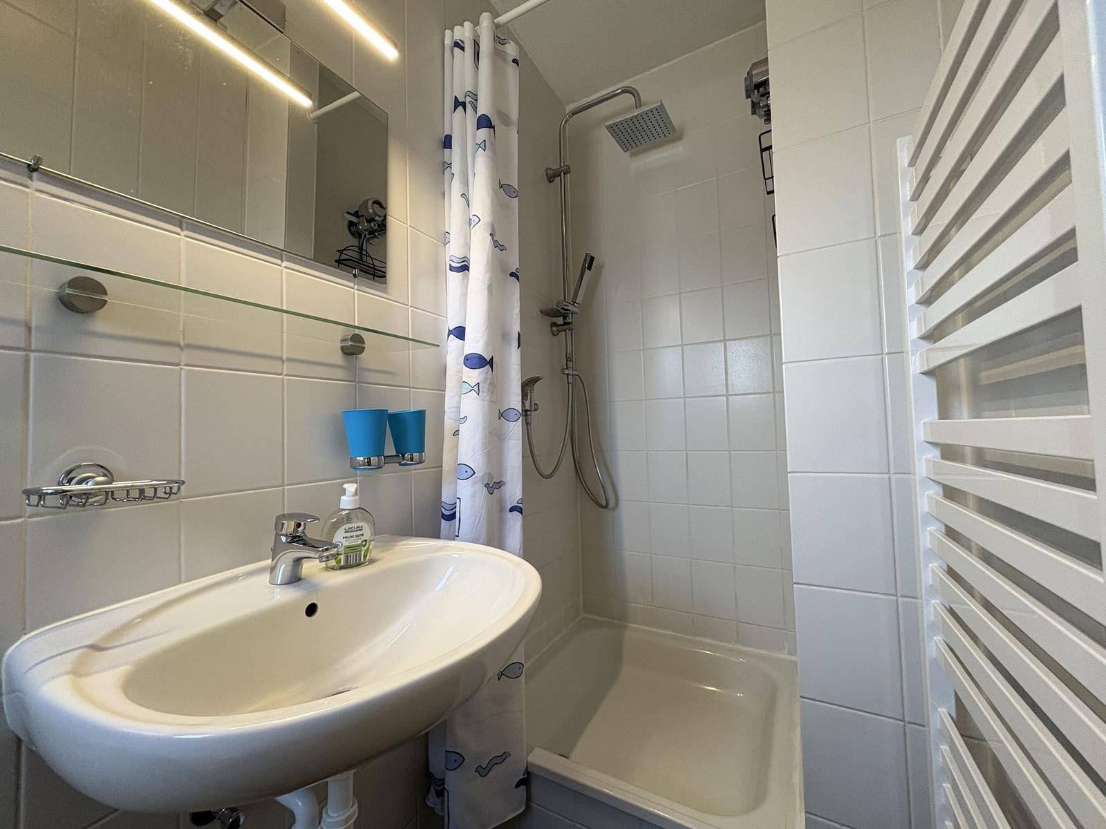 Badezimmer mit Dusche, Waschbecken und Heizkörper