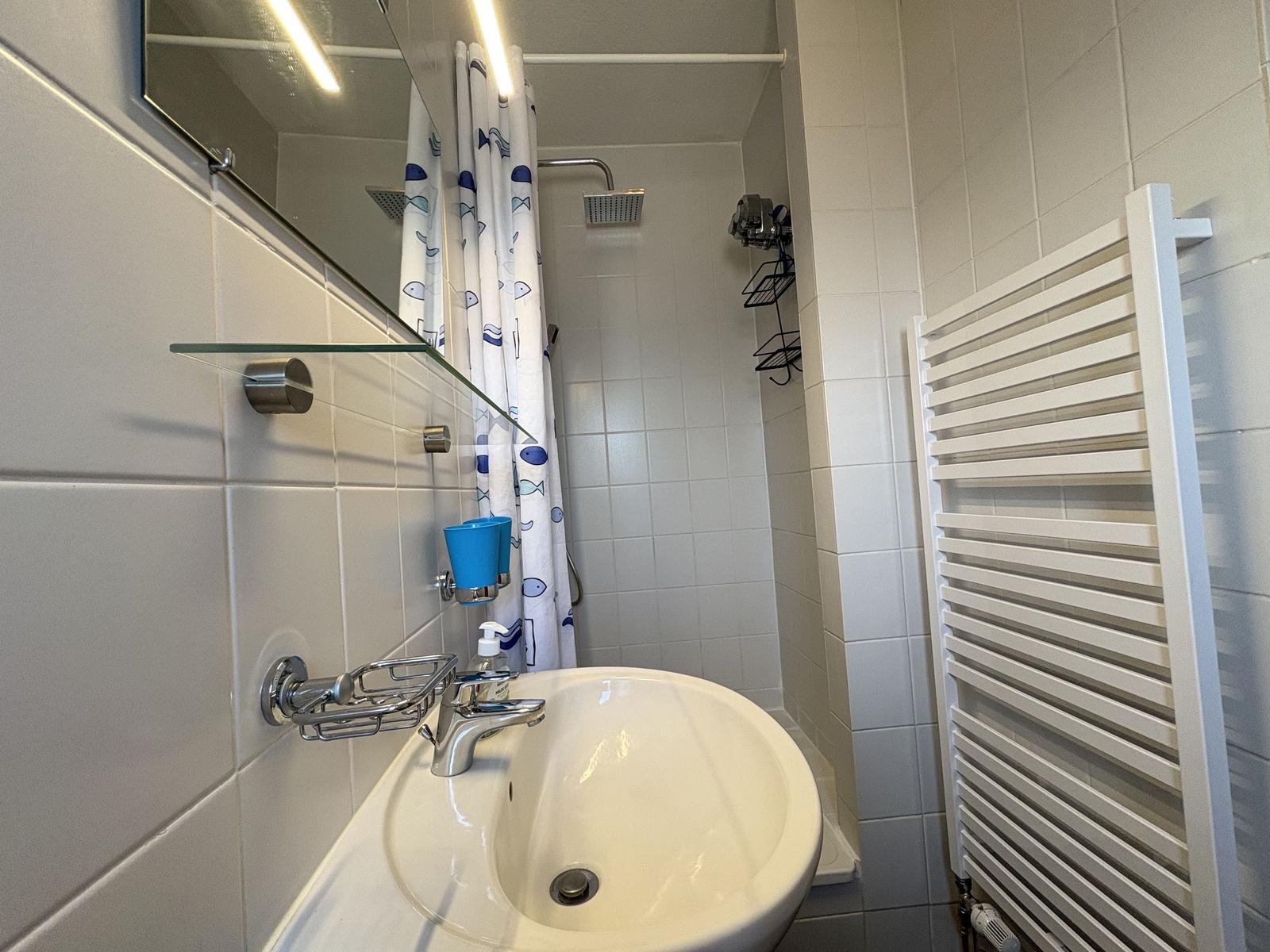 Badezimmer mit Waschbecken, Dusche und Heizkörper