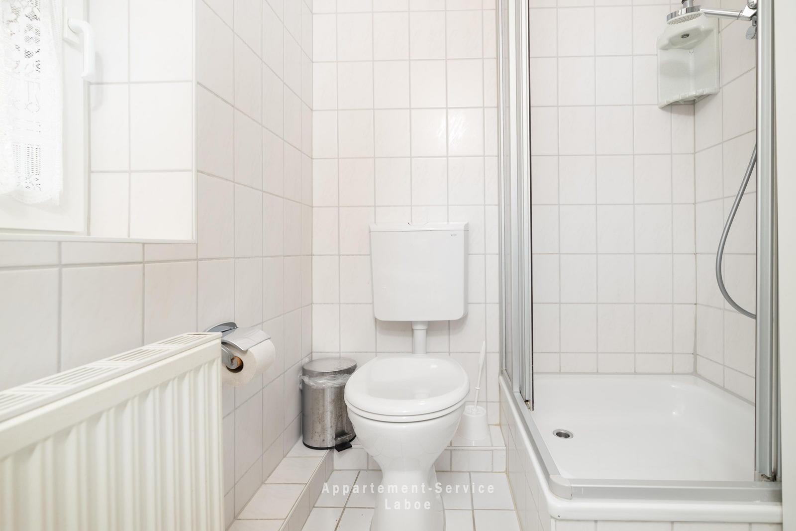 Badezimmer mit Toilette, Dusche und Heizung.