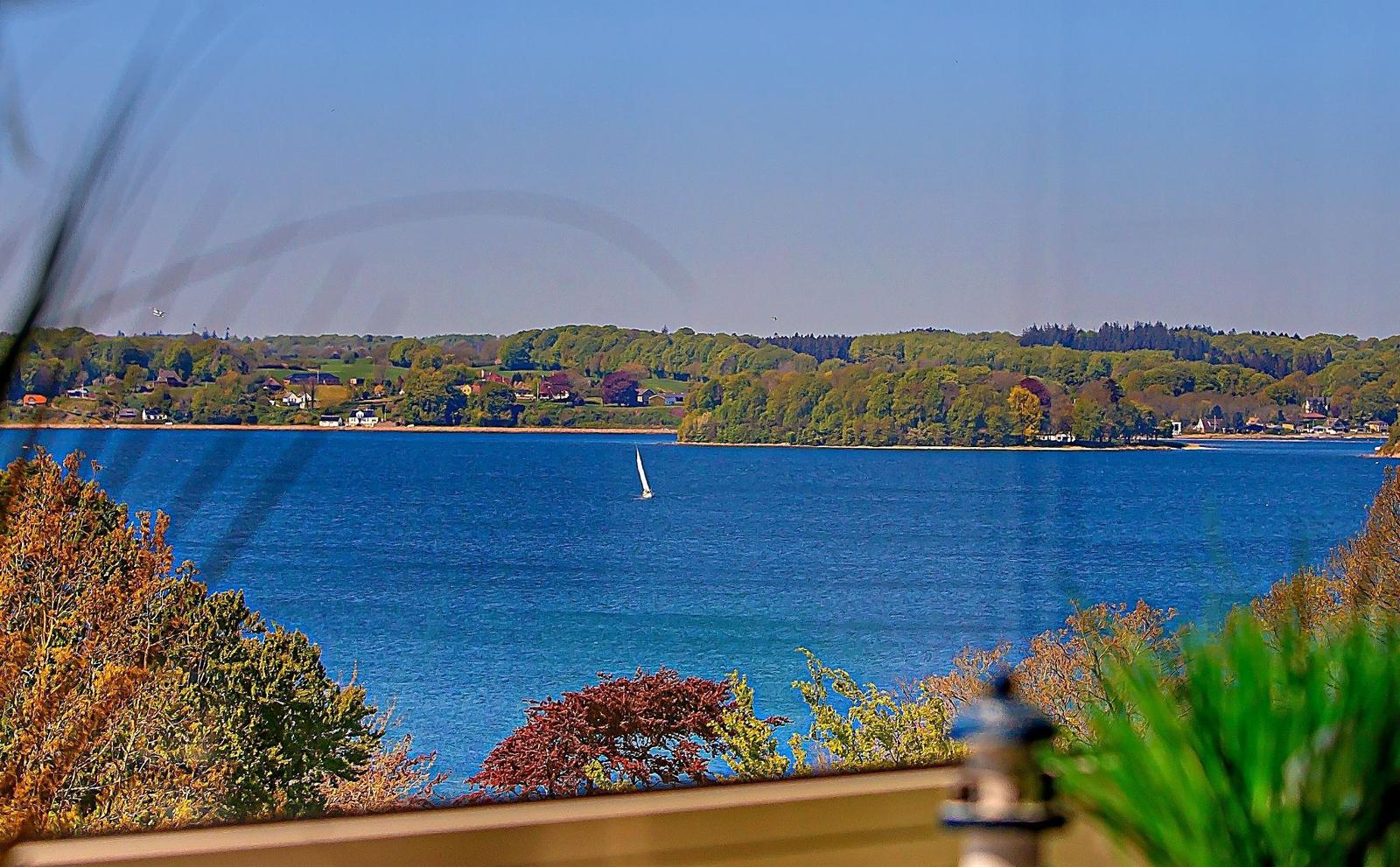 Blick auf einen See mit Segelboot und bewaldetem Ufer im Hintergrund.