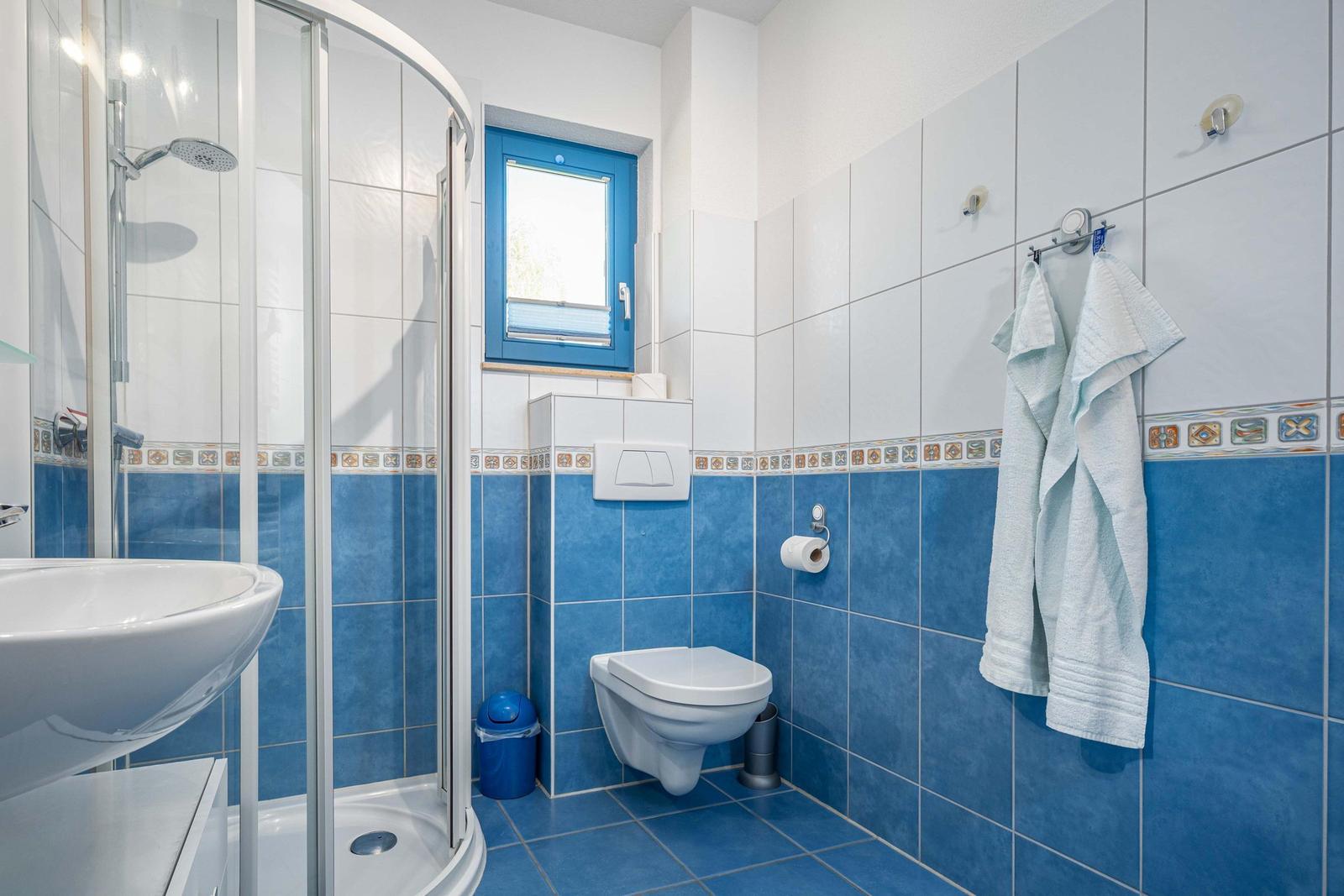 Bad mit Dusche und WC im EG