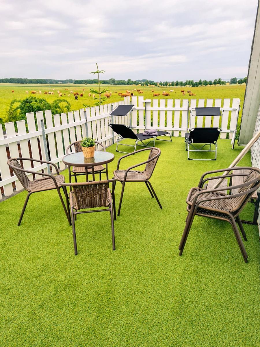 Terrasse mit Sitzgruppe und Liegen. Blick auf grünes Feld mit Rindern.