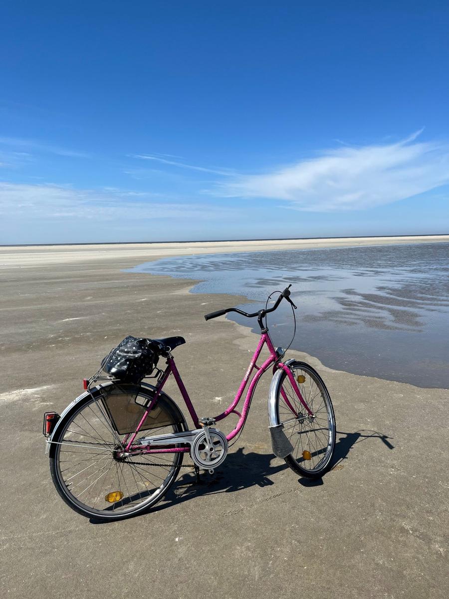Ein pinkes Fahrrad steht am Strand mit Watt und blauem Himmel.